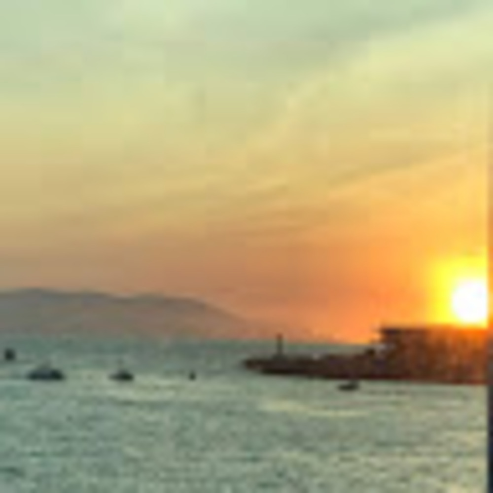 Meet your Posher, Joelle